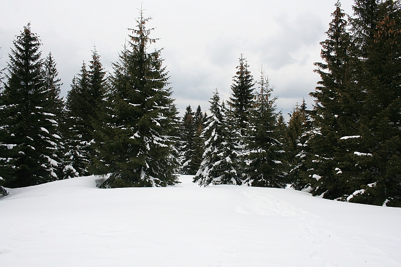 Turbacz 22.03.08 081